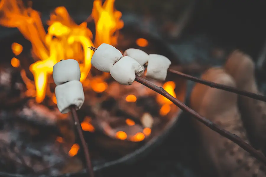 Roasting marshmallows over a campfire